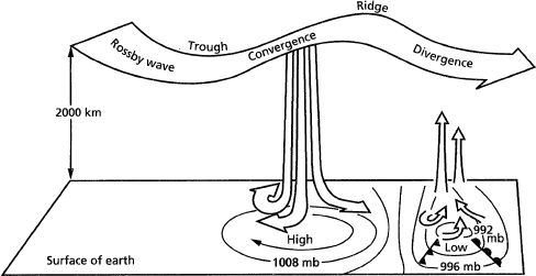 Rossby Waves