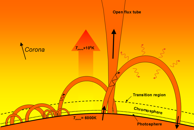 Cartoon depicting the different scales of coronal loop that exist in the lower corona and transition region, by Dr. Ian O'Neill , via Wikimedia Commons