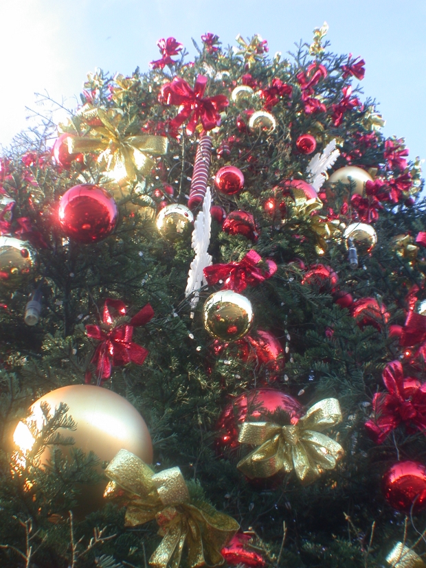 Fisherman's Wharf Christmas Tree
