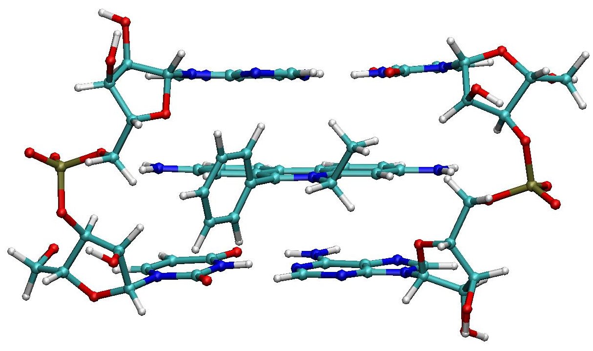 Molecular structure of ethidium intercalated between two pairs of adenine-uracil base pairs, by Karol Langner, via Wikimedia Commons