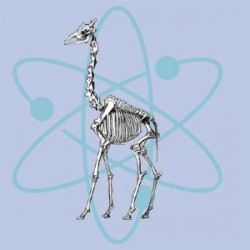 atomic giraffe