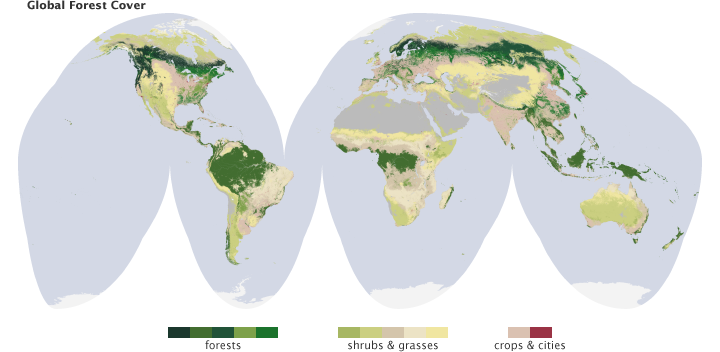 Global forest cover