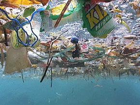 Wiew under floating plastic waste in ocean surface