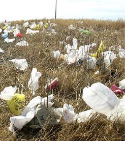 Plastic bags disposed of in the environment 