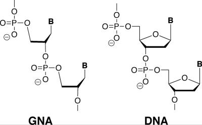 GNA:  DNA's Chemical Cousin Is A Nanotechnology Building Block