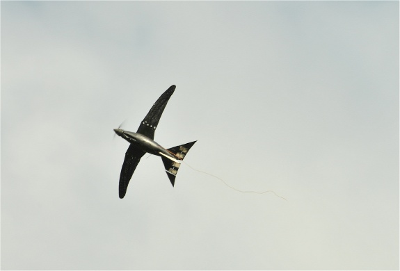 'Bio-Inspired' Morphing-Wing RoboSwift Makes Its First Flight