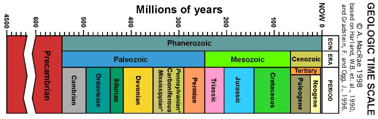 What Extinction Can Teach Us