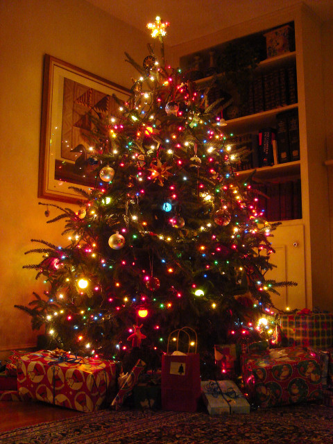 The Great Debate: Real Vs. Artificial Christmas Trees | Science 2.0