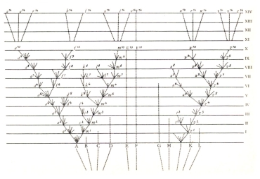 Darwin's figure