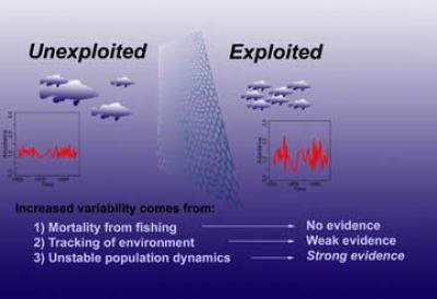 Fishing Restrictions And How They Impact The