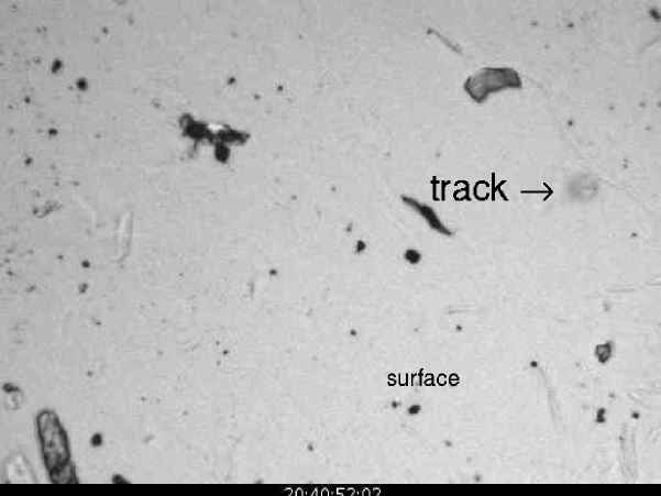 $300m Interstellar Space Dust Discovered by Citizen Scientist
