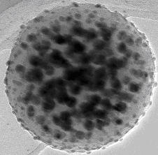 Microwave Synthesis And Ramen Noodles