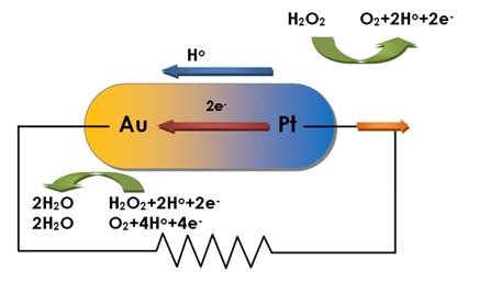 Magic Of Complexity With Catalysts Social Or Metallic