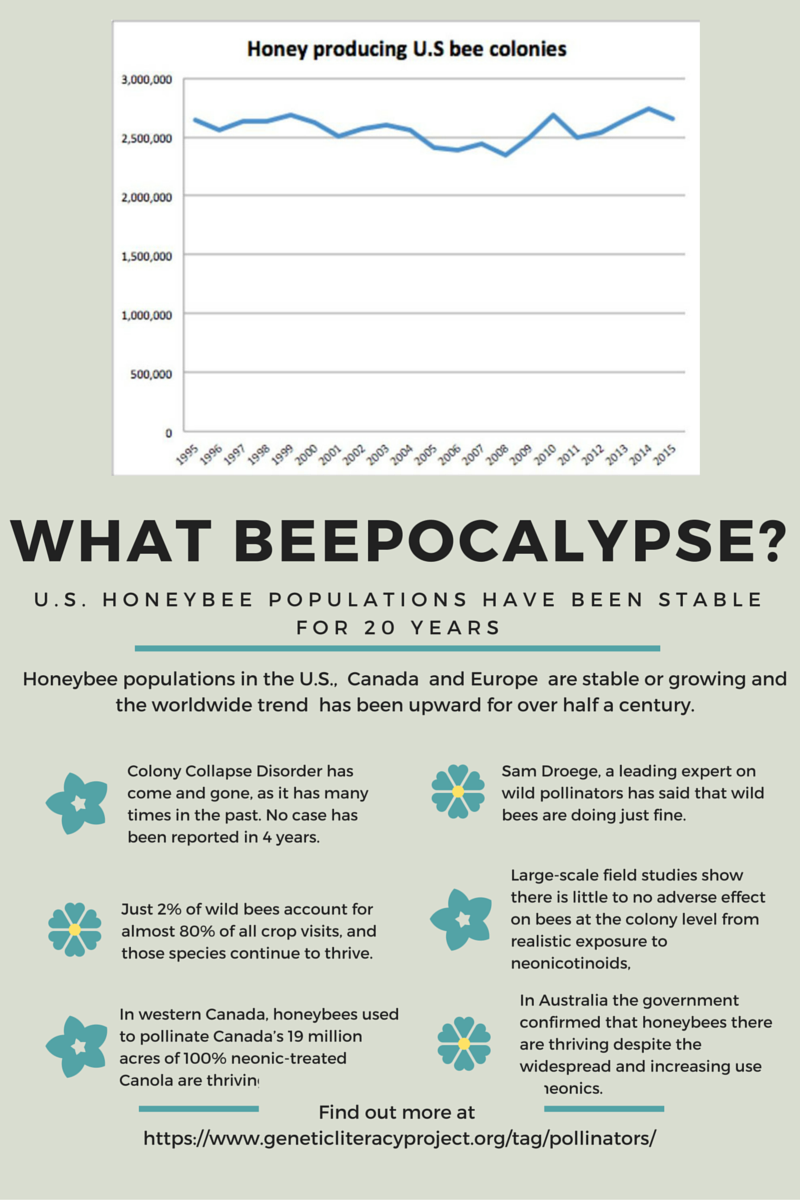 What Beepocalypse?