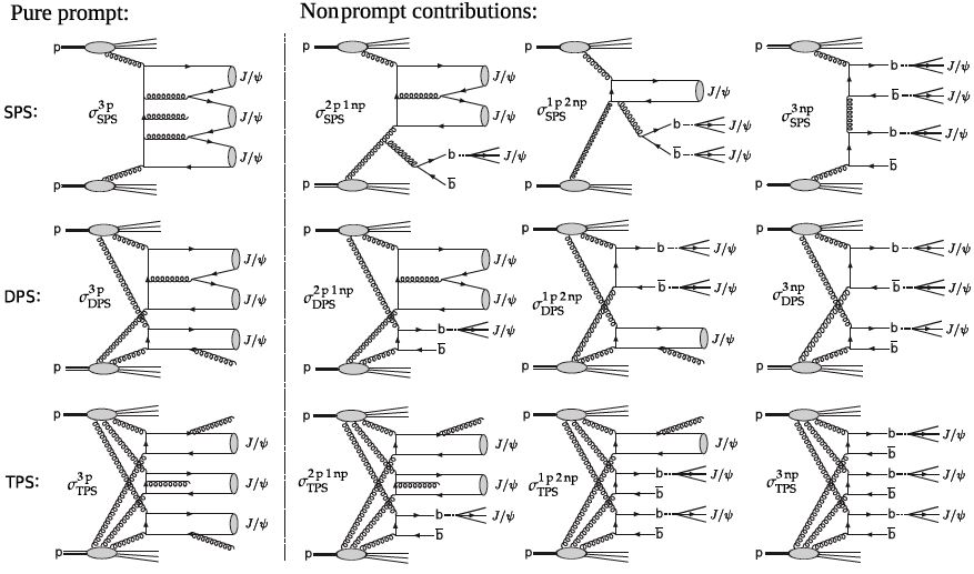 Six-muon Events Probe Proton Collision Dynamics