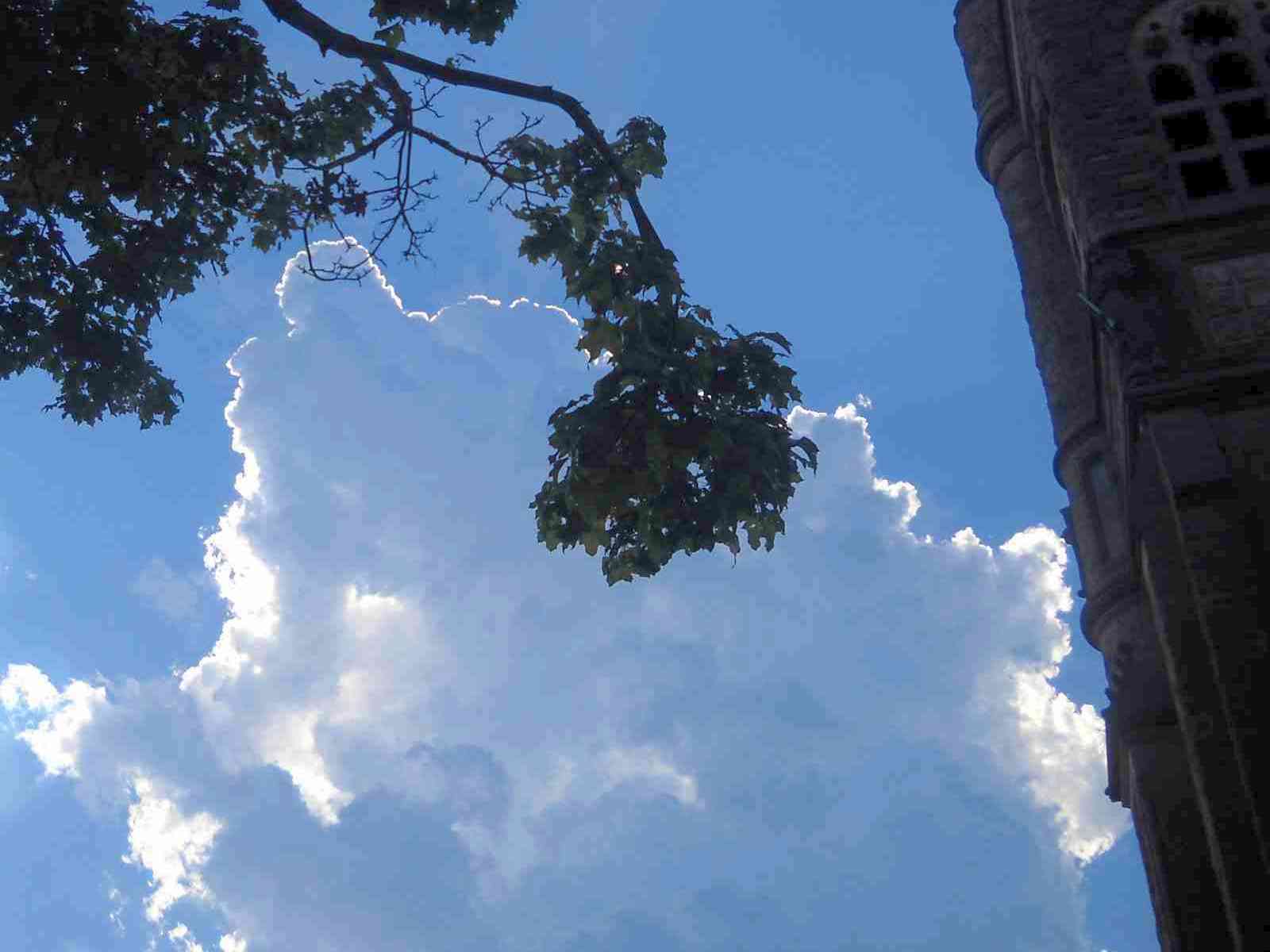 Towering cumulonimbus, neighborhood tower and maple tree, one late afternoon in early August 2010, by Shamanic-Shift on Flickr.com