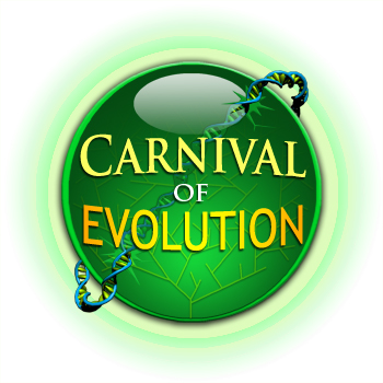 Carnival Of Evolution, 17th Edition