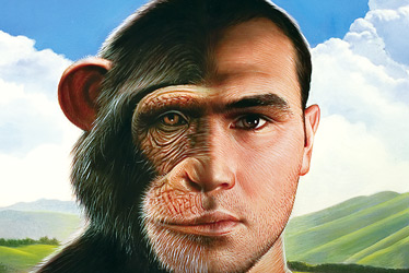 Gene Regulation And The Difference Between Human Beings And Chimpanzees