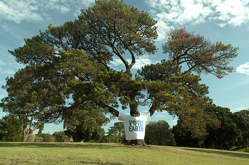 Earth Hour Tree