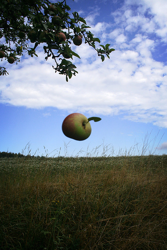 Newton''s apple
