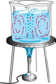 boiling water - convection