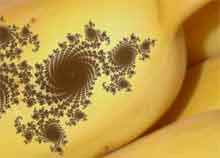 The Fractal Content Of Banana Spots