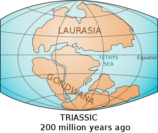Laurasia-Gondwana