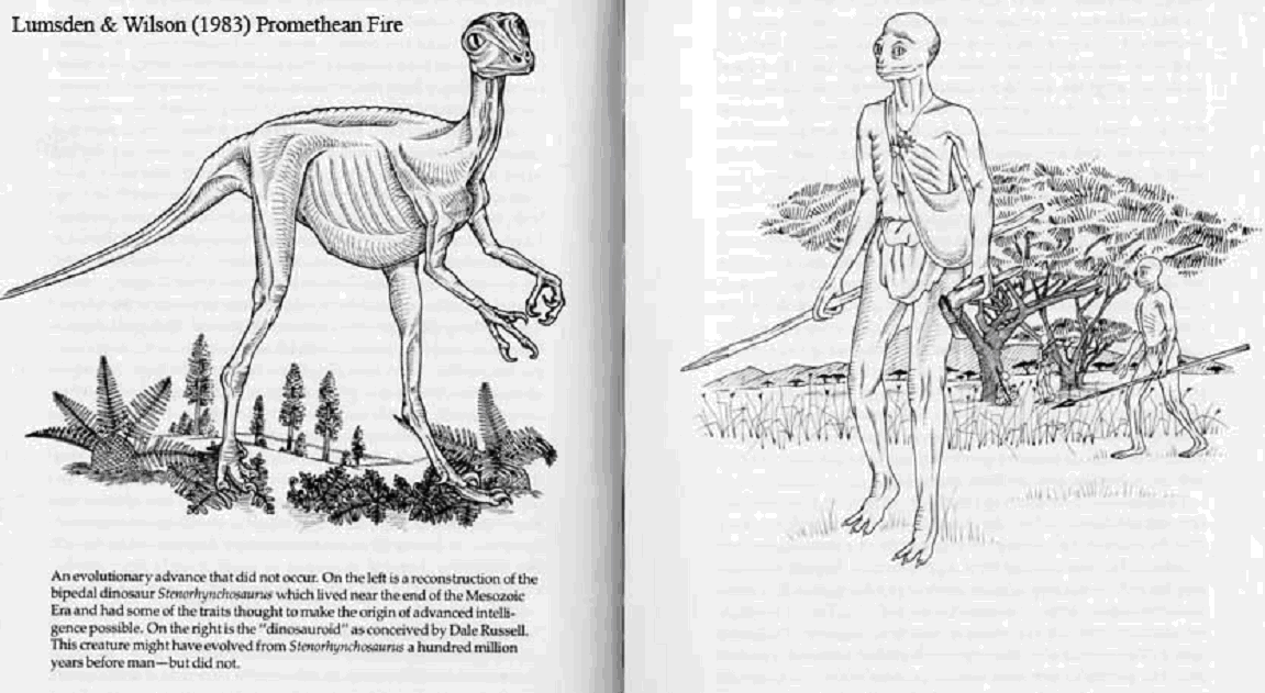 Lumsden Wilson Promethean Fire from Richard Dawkins Lumsden Wilson Promethean Fire from Richard Dawkins