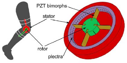 Energy Harvesting - From Knees