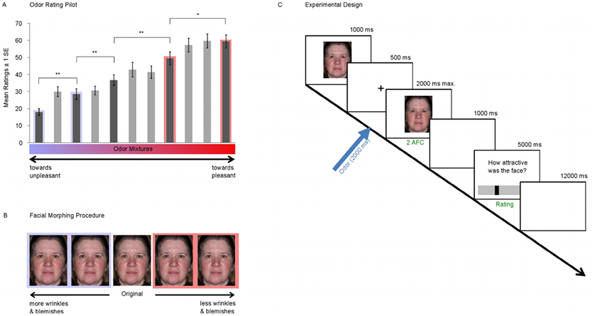 The Heart Of Chess: Biometrics Reveal Jan-Krzysztof Duda's Armageddon Championship Confidence