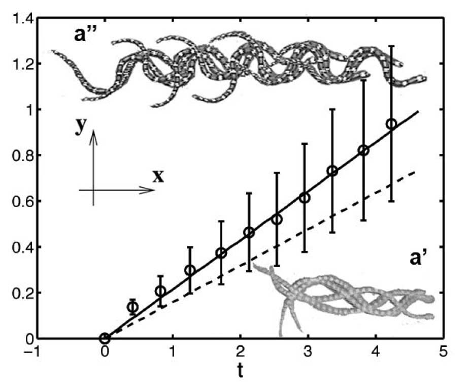  The Mechanics Of Slithering