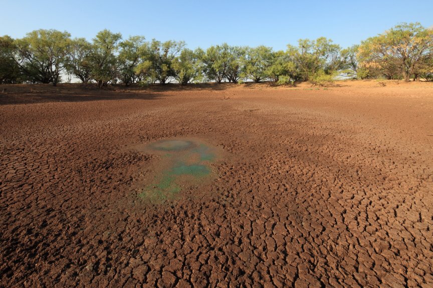 Dry pit Texas