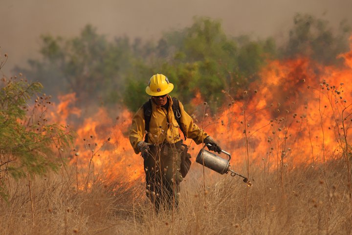 Texas bush fire