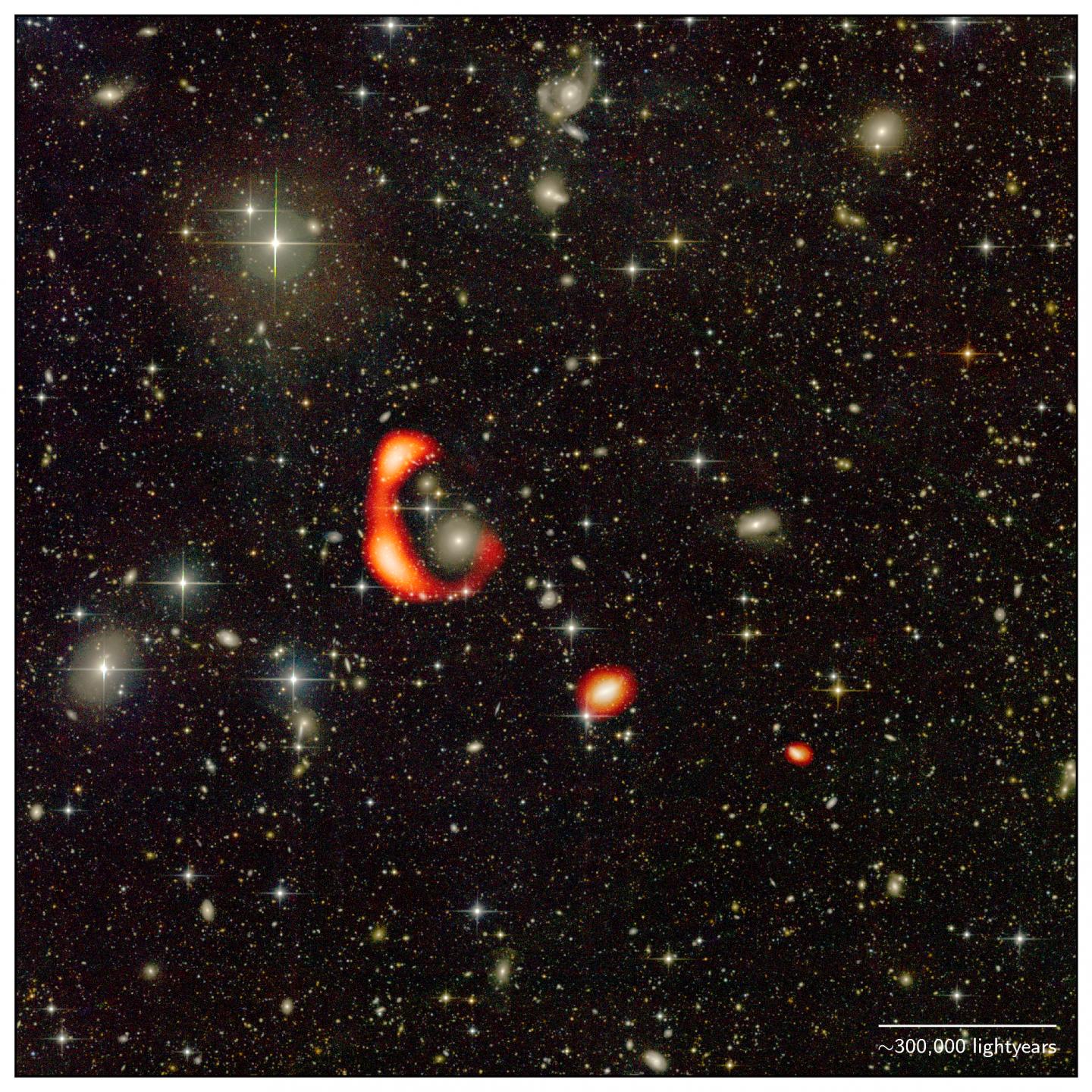 AGC 203001: A Whole Galaxy Ringed By Hydrogen Gas