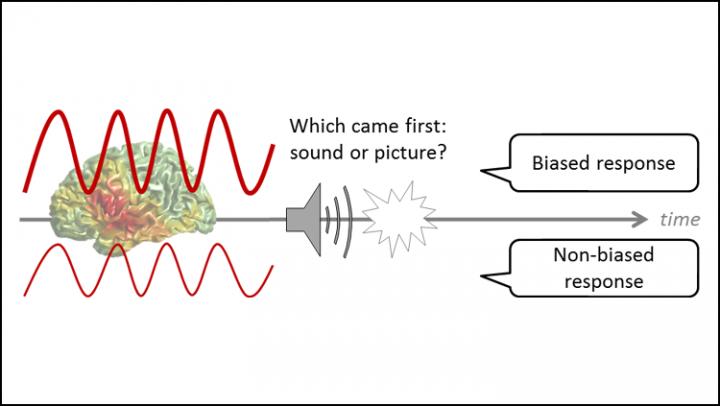Can Alpha Waves Reveal The Bias In Your Brain? | Science 2.0
