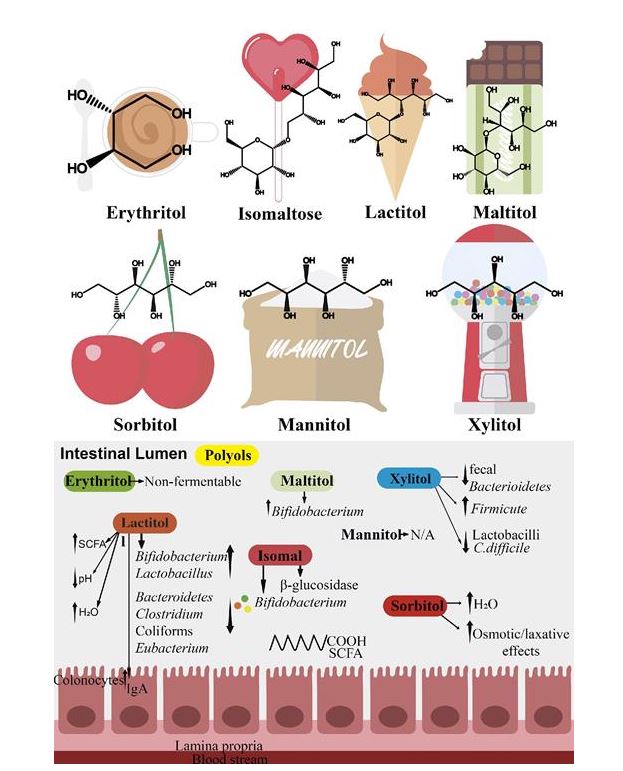 Artificial Sweeteners Are Not Harmful For Gut Microbiota, They Are Even Prebiotics