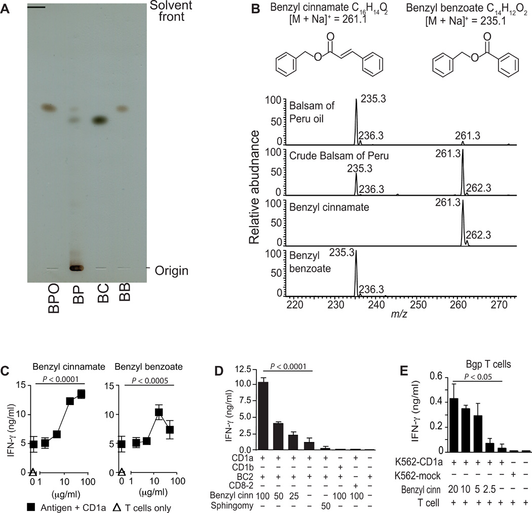 It's Not Scary Cosmetic Chemicals That May Cause A Rash, It's The Nature Of The CD1a Molecule