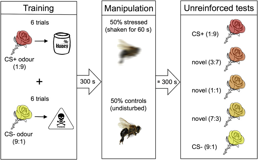 The Emotional Life Of Bees