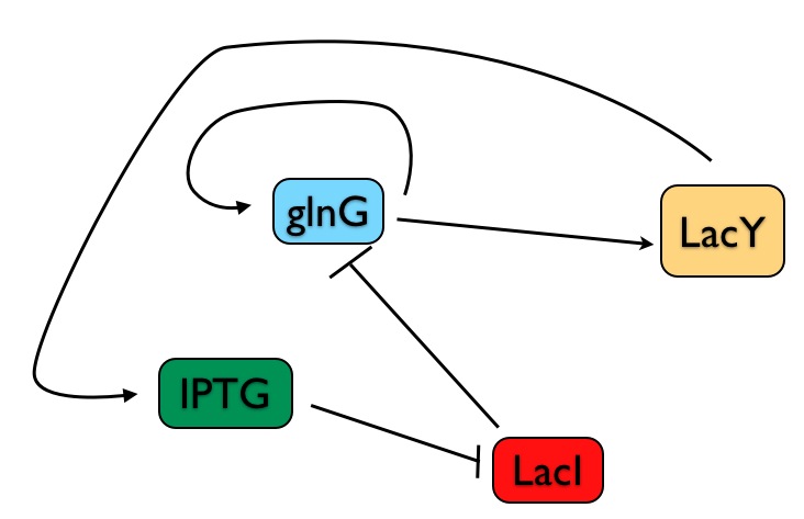 Engineering A Cell Switch