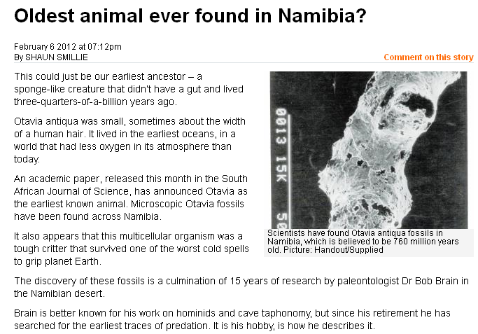 Earliest Animal Fossils? Uhhh, No