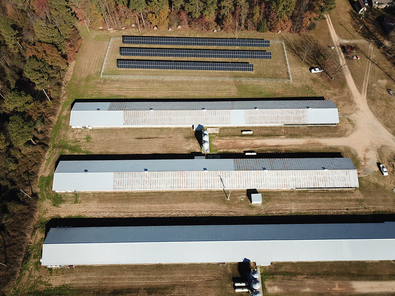 Solar Power May Get Environmentalists To Accept GMOs