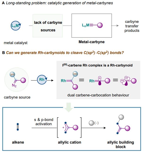 Sticks And Stones May Break Your Bones But This Carbene/Carbocation Reaction Edits Molecular Skeletons