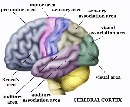 A Science Of Human Language - Part #5