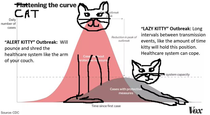 #Catteningthecurve To Create Coronavirus Transmission Prevention Awareness