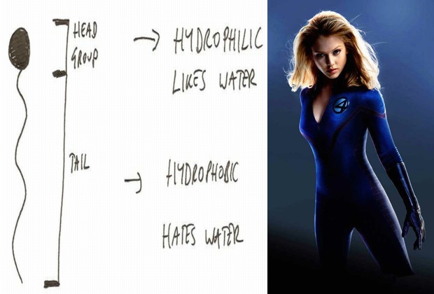 characteristic curvature using jessica alba and hydrophilics