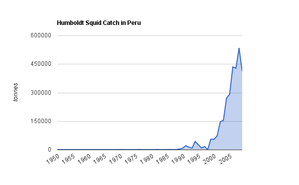 Peru's Mountain Of Humboldt Squid