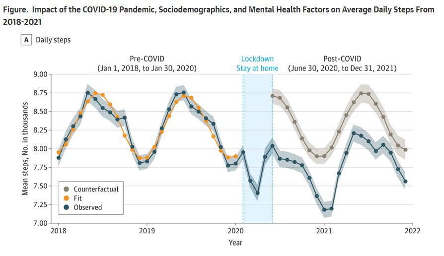 Government Lockdowns During COVID-19 Led To Less Activity