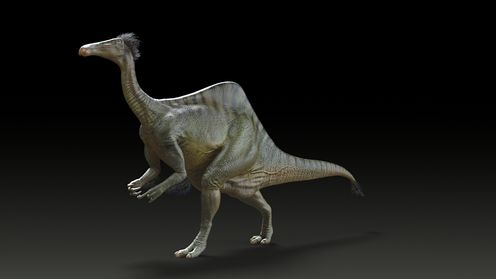 Deinocheirus Mirificus Puzzle Solved, Revealing The Weirdest-Looking Creature To Walk The Planet