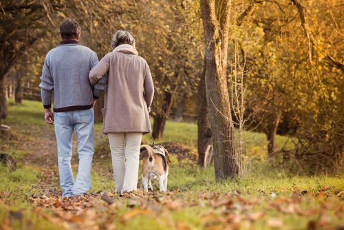 Dog Walkers: Because It Makes Them Happy