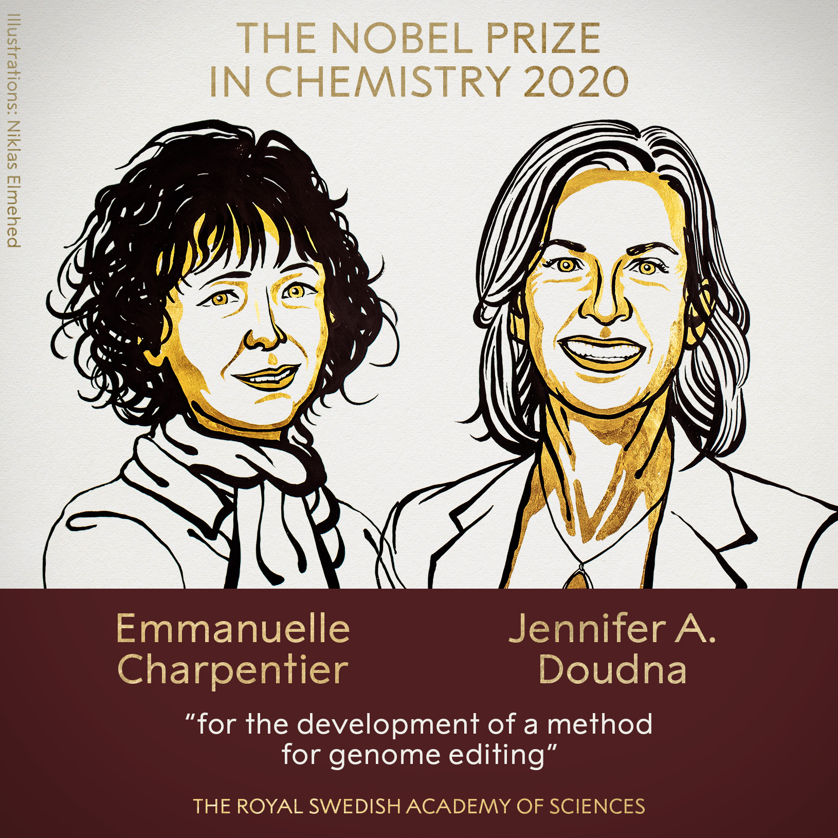 The Nobel Prize For CRISPR-Cas9: Here's Who Got Left Out